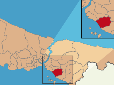 Maltepe Web Tasarım
