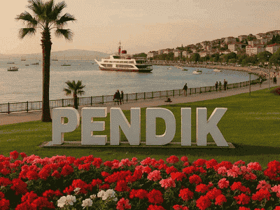 Pendik-Web-Tasarım