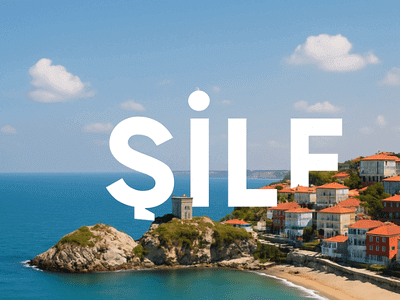 Şile Web Tasarım