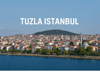 Tuzla Web Tasarım