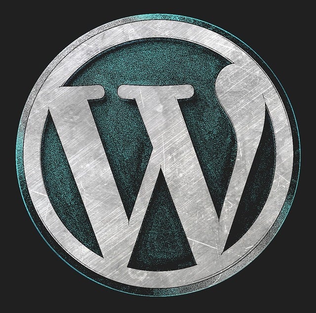 Wordpress Ajansı