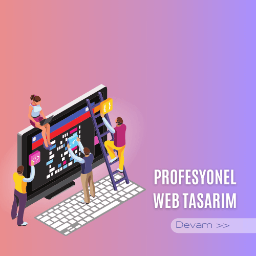 profesyonel-web-tasarim